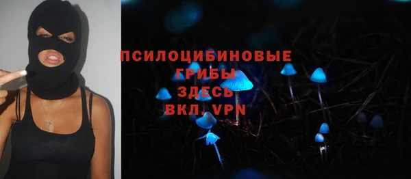 ПСИЛОЦИБИНОВЫЕ ГРИБЫ Балабаново